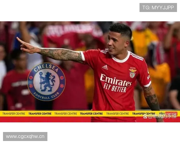 世界杯最佳年轻球员：恩佐的巅峰起点