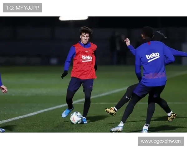 格里兹曼回撤组织串联作用解析